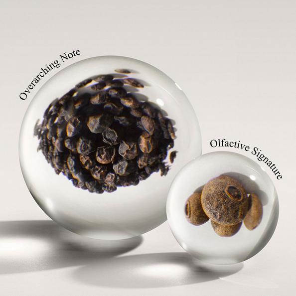 An image of Molton Brown Fragrance Olfactive Signature