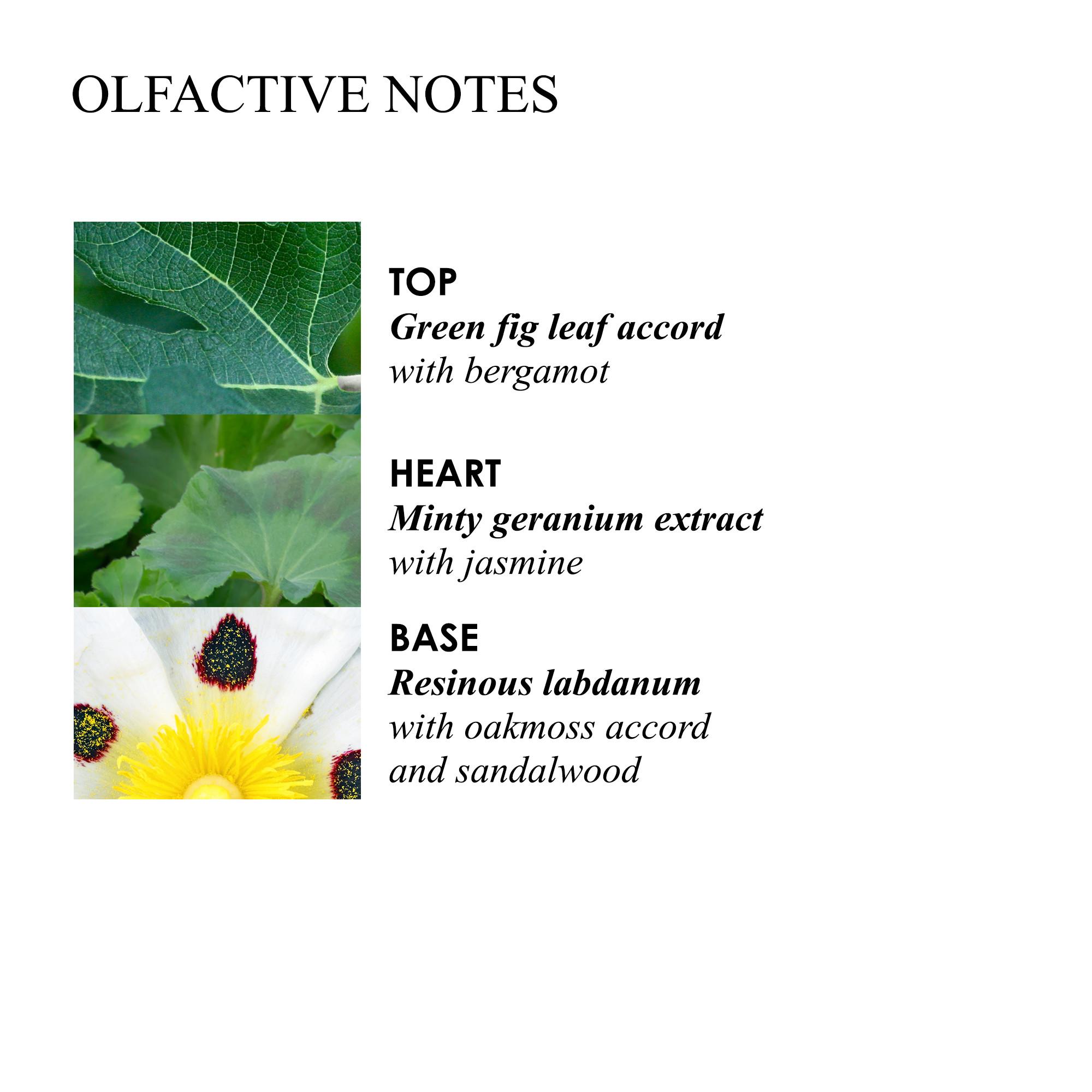 Geranium Nefertum Körperlotion 300 ml | Molton Brown DE 