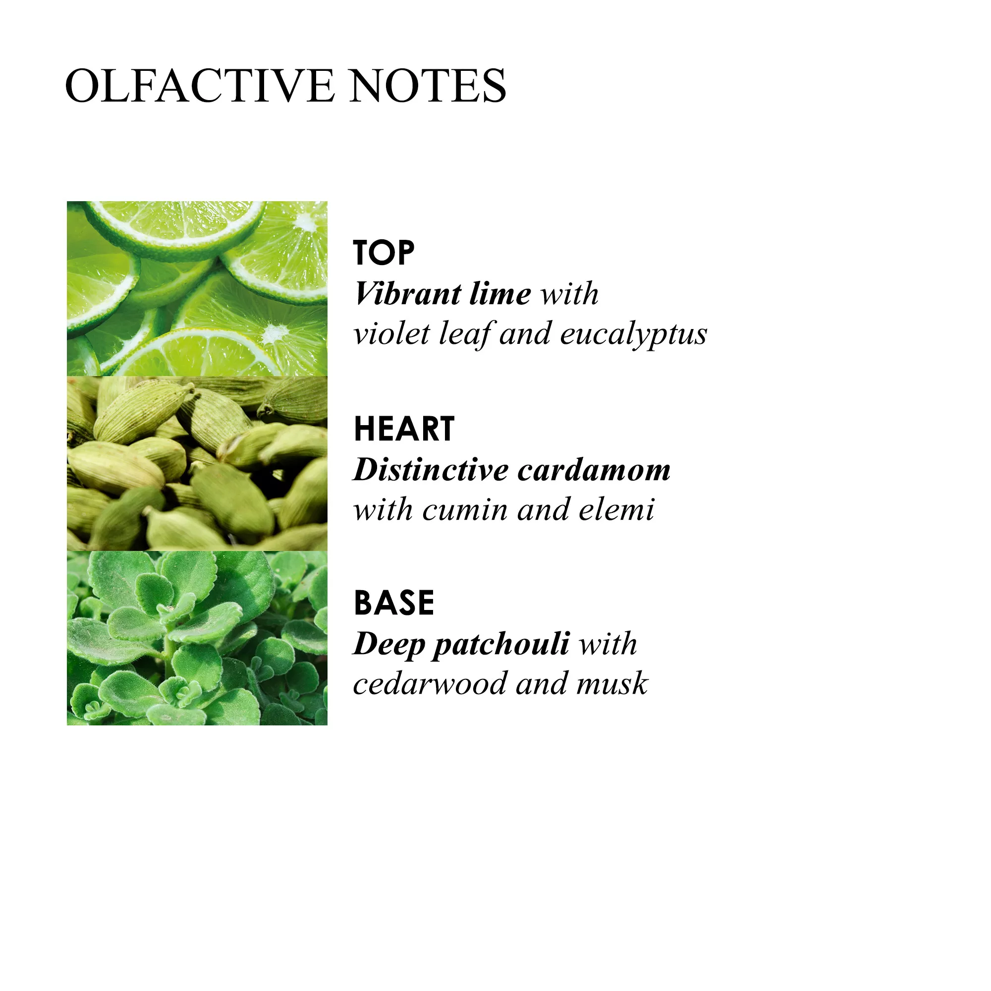 Lime Patchouli Hand Wash Hand Care Molton Brown Us