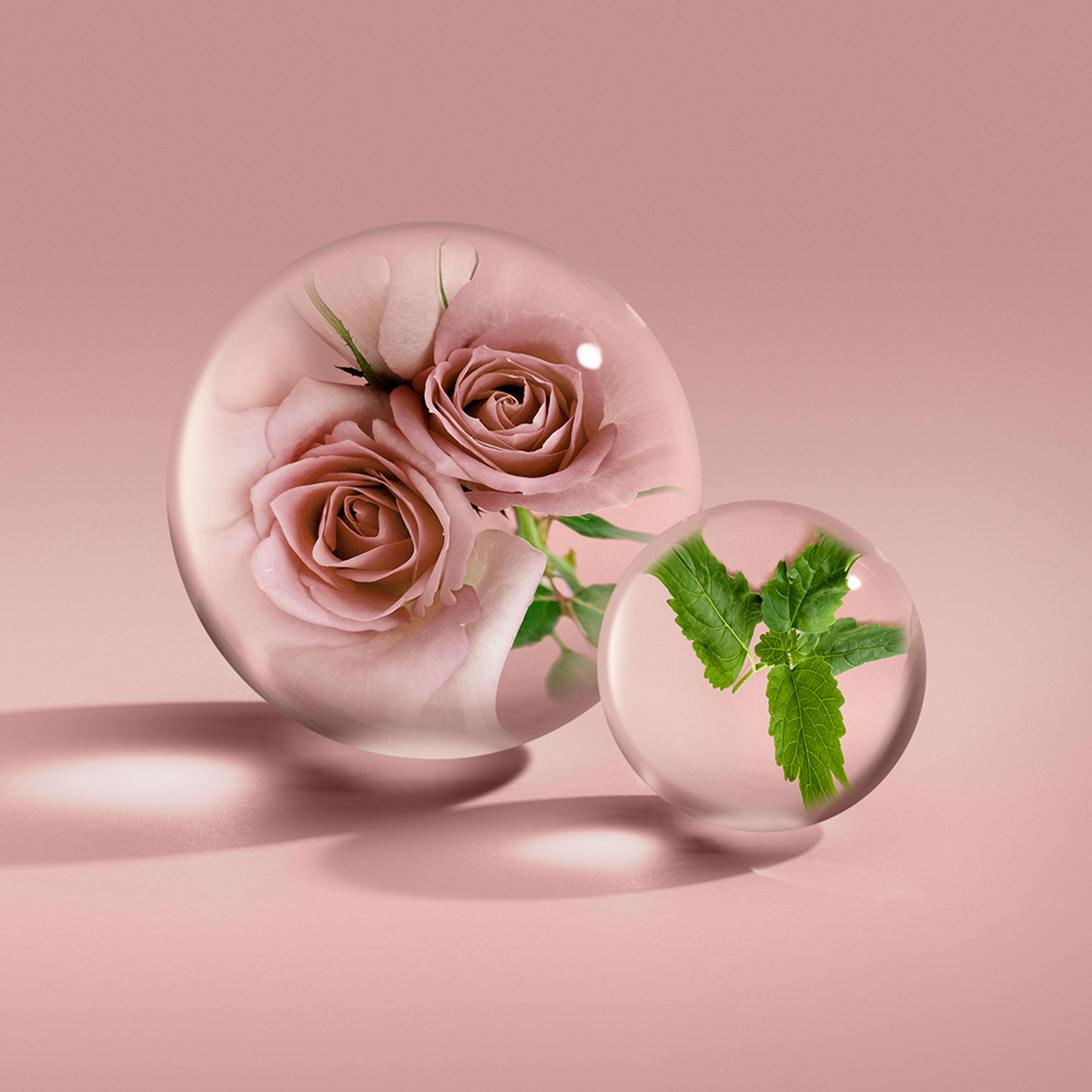 Mystic Rose Eau de Parfum | Florica