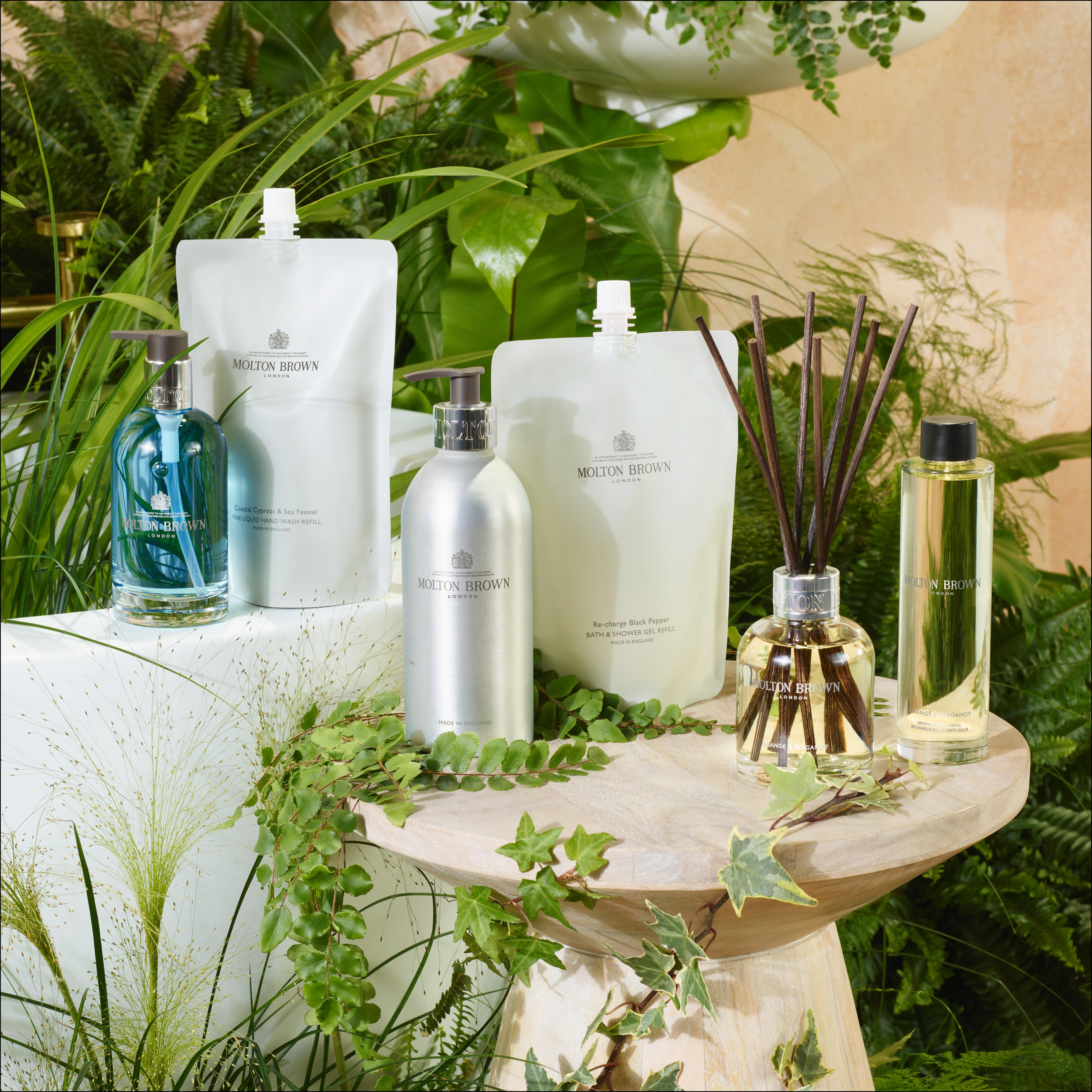 Aromae Botanicals Travel size Toiletries Shampoo Conditioner